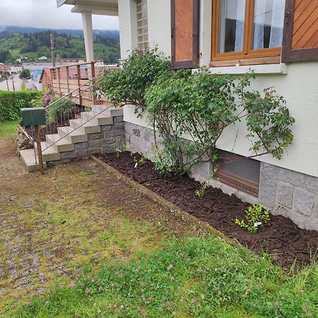 Gite Papillon 6 A14 Personnes - Jacuzzi Gérardmer Buitenkant foto